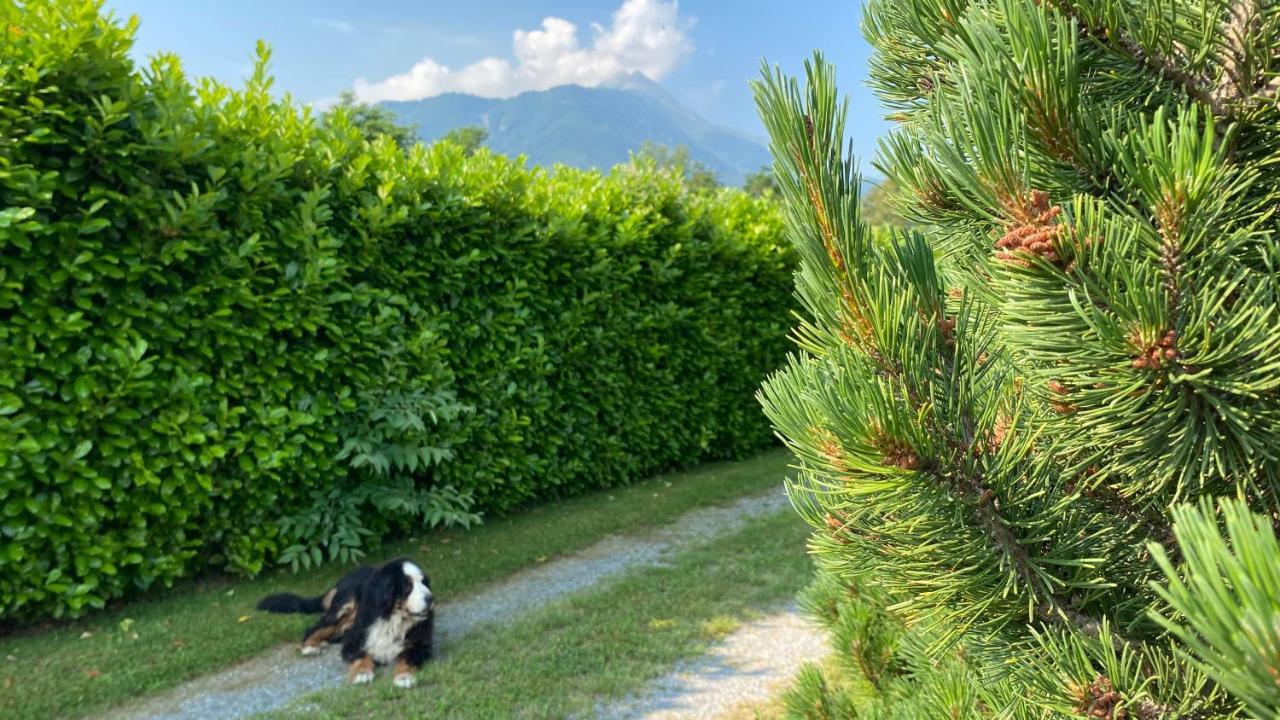 Villa Giulia - Bisalta Peveragno 외부 사진